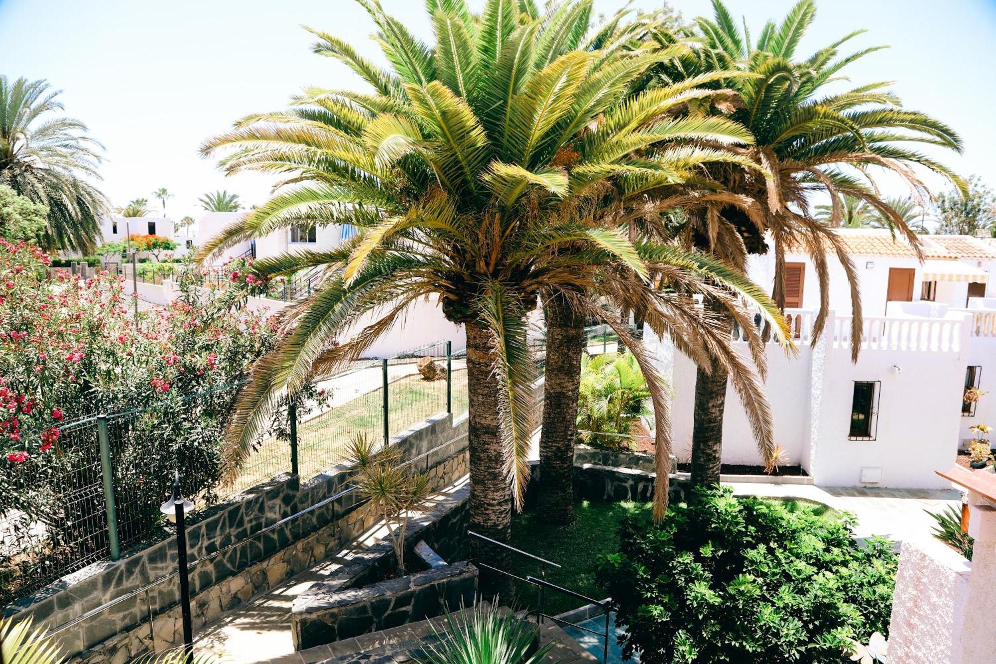 Virginia Apartment Playa de las Americas  Luaran gambar